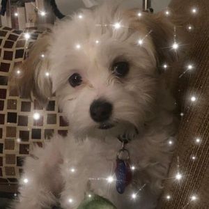 Meet your Posher, Sandra